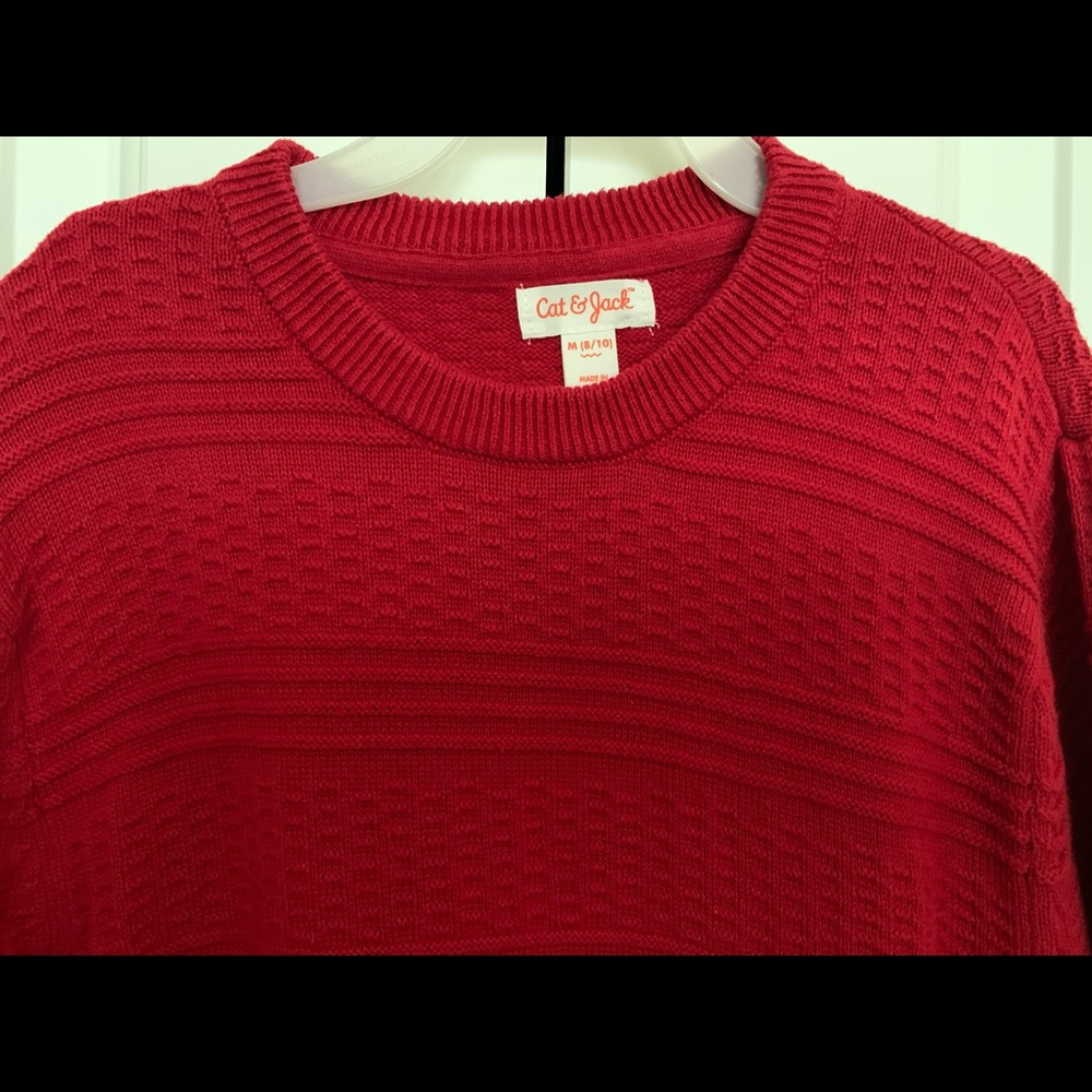 Boys Cat & Jack Sweater
